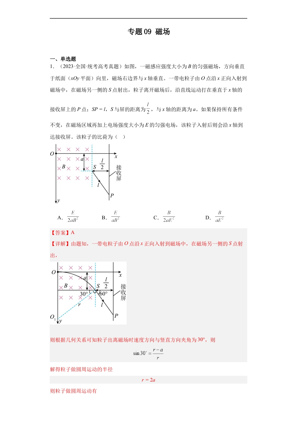 专题09 磁场 (解析版).docx_第1页