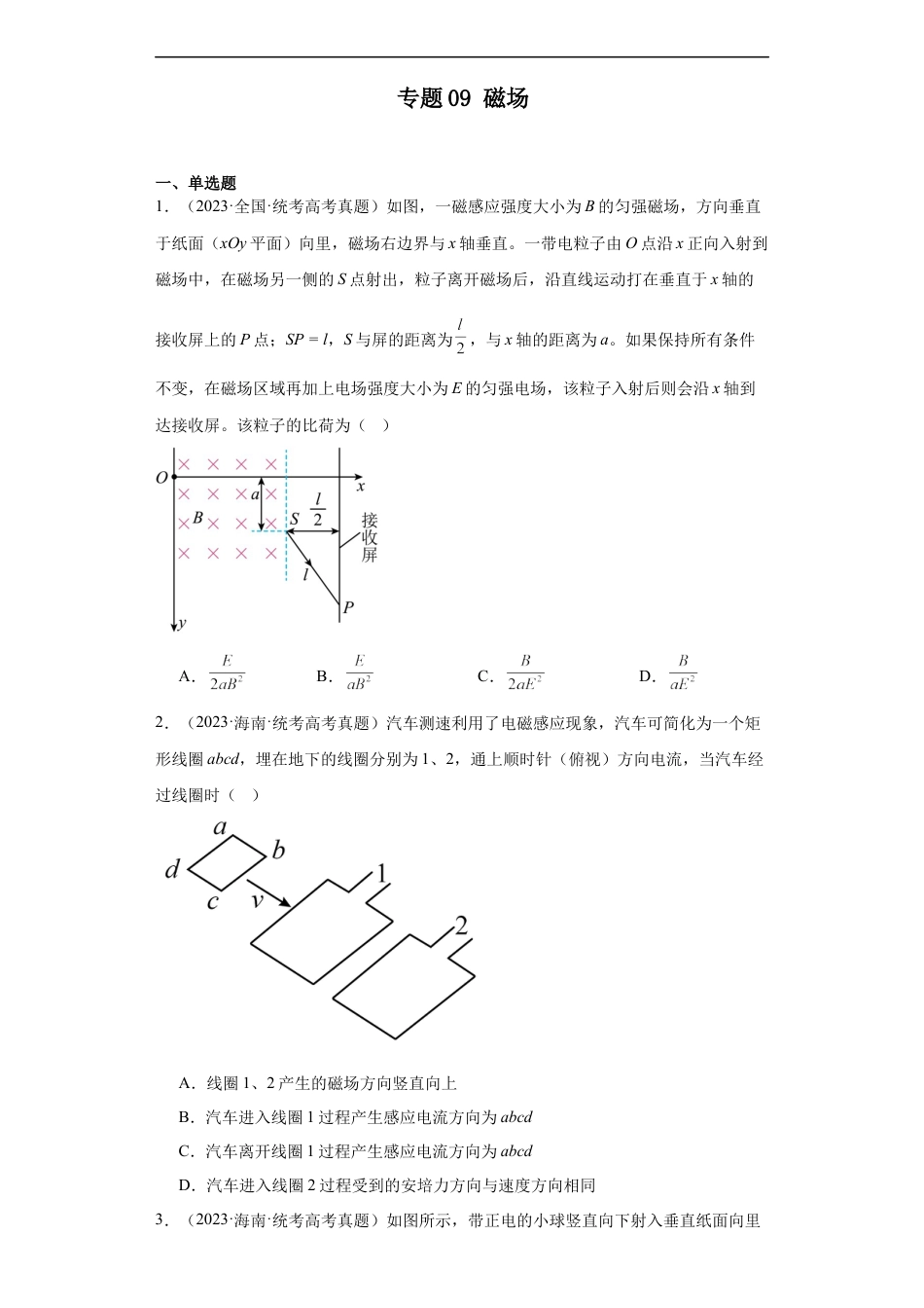 专题09 磁场 (原卷版).docx_第1页