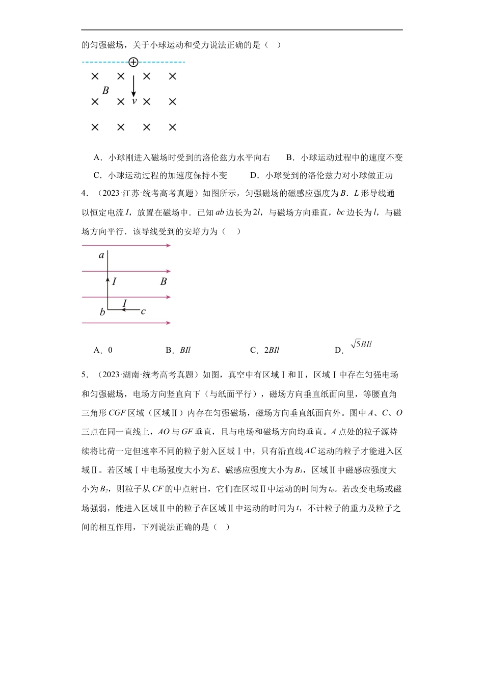 专题09 磁场 (原卷版).docx_第2页