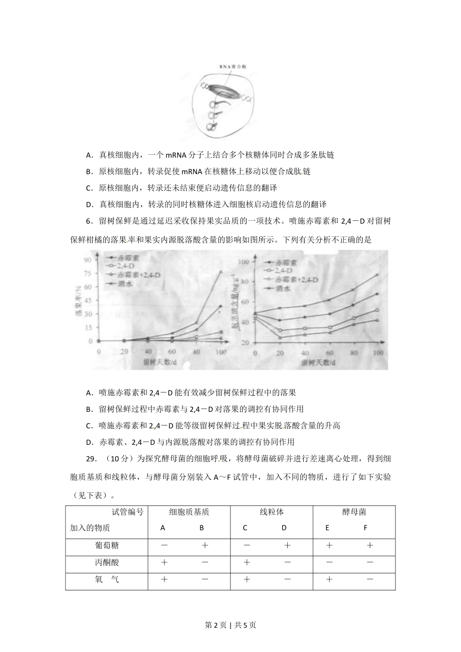 2012年高考生物试卷（安徽）（空白卷）.doc_第2页