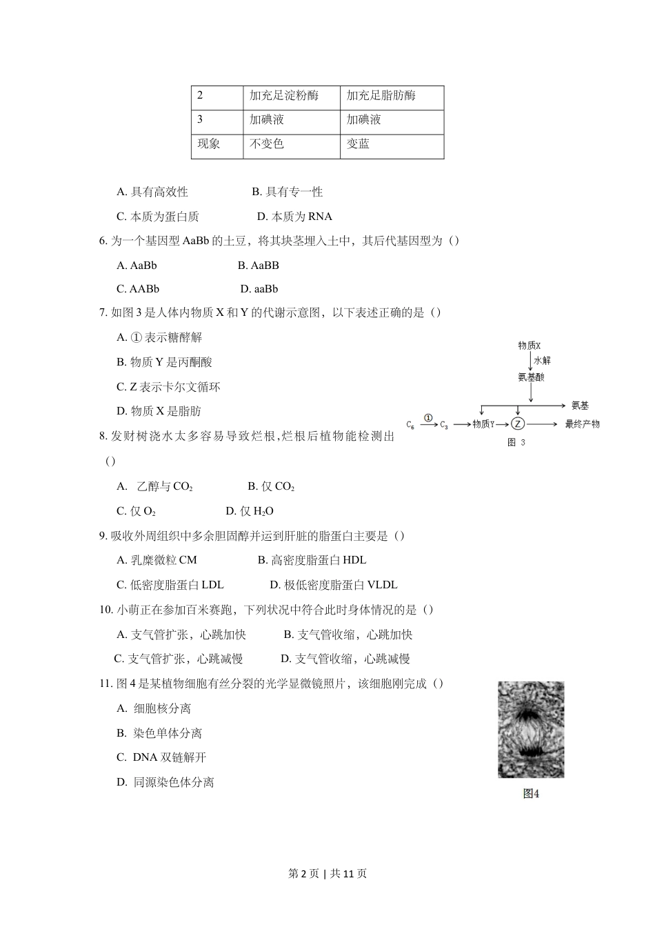 2018年高考生物试卷（上海）（空白卷）.doc_第2页