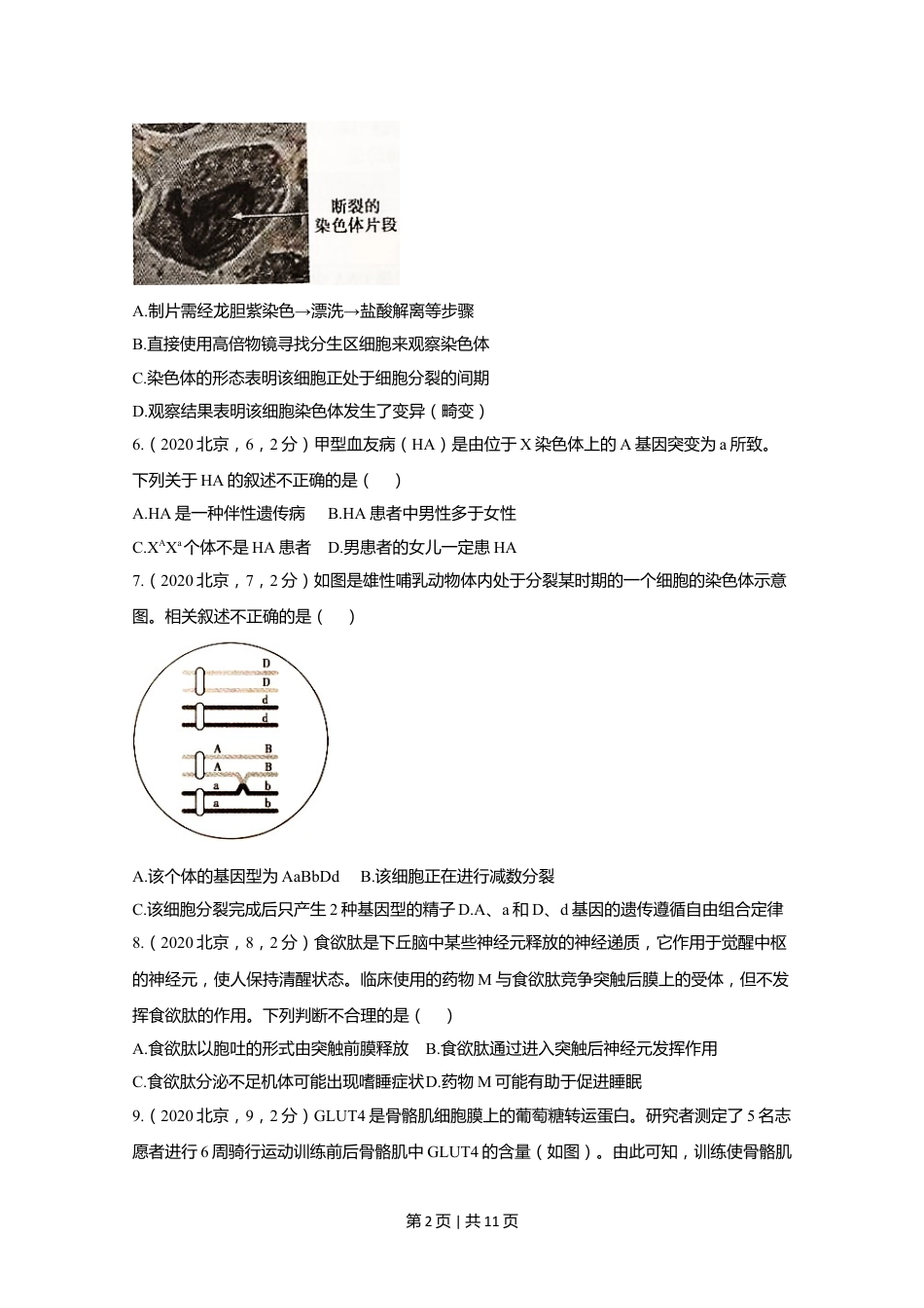 2020年高考生物试卷（北京）（空白卷）.doc_第2页