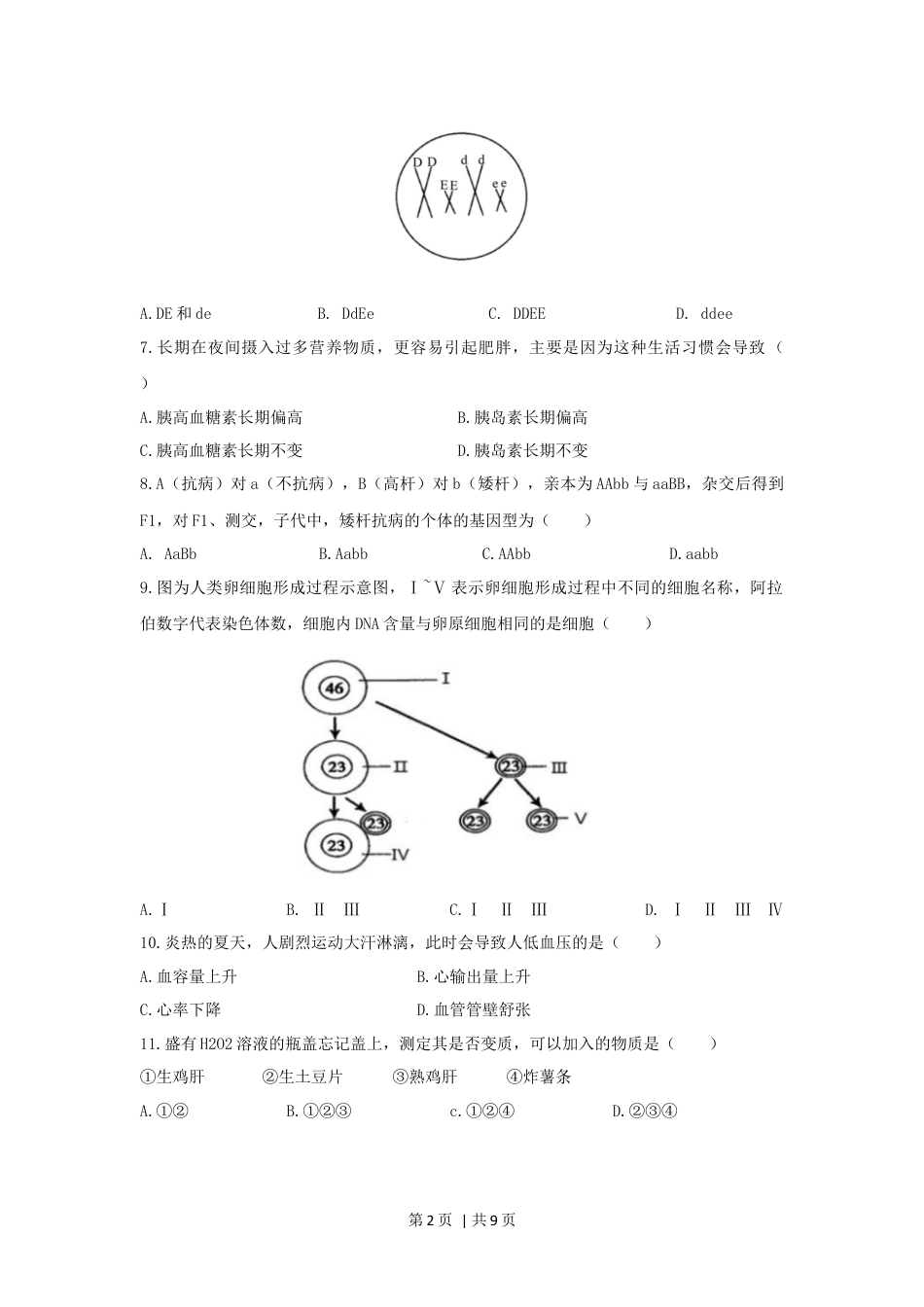 2020年高考生物试卷（上海）（空白卷）.docx_第2页