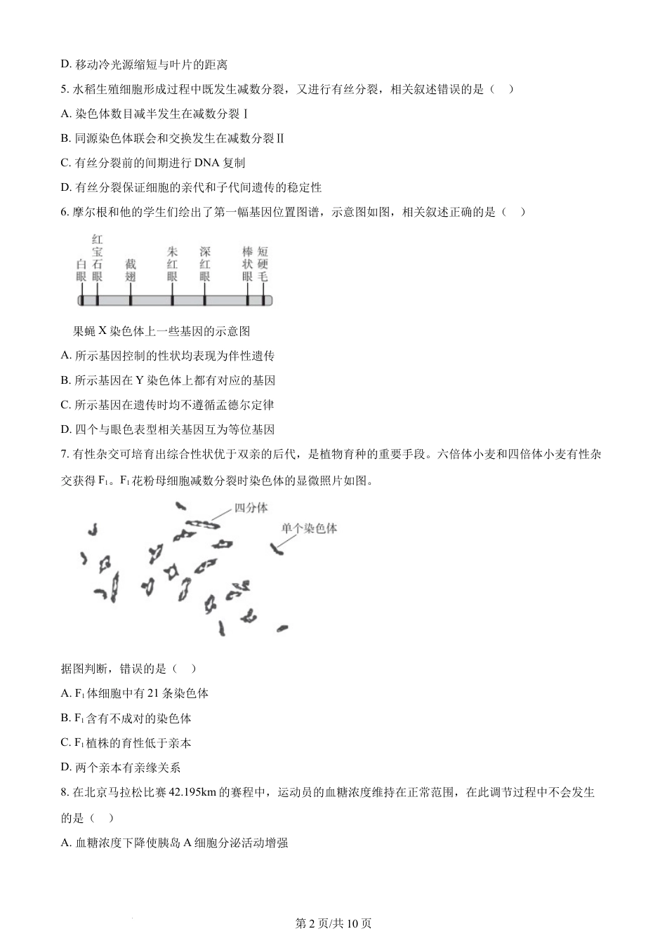 2024年高考生物试卷（北京）（空白卷）.docx_第2页