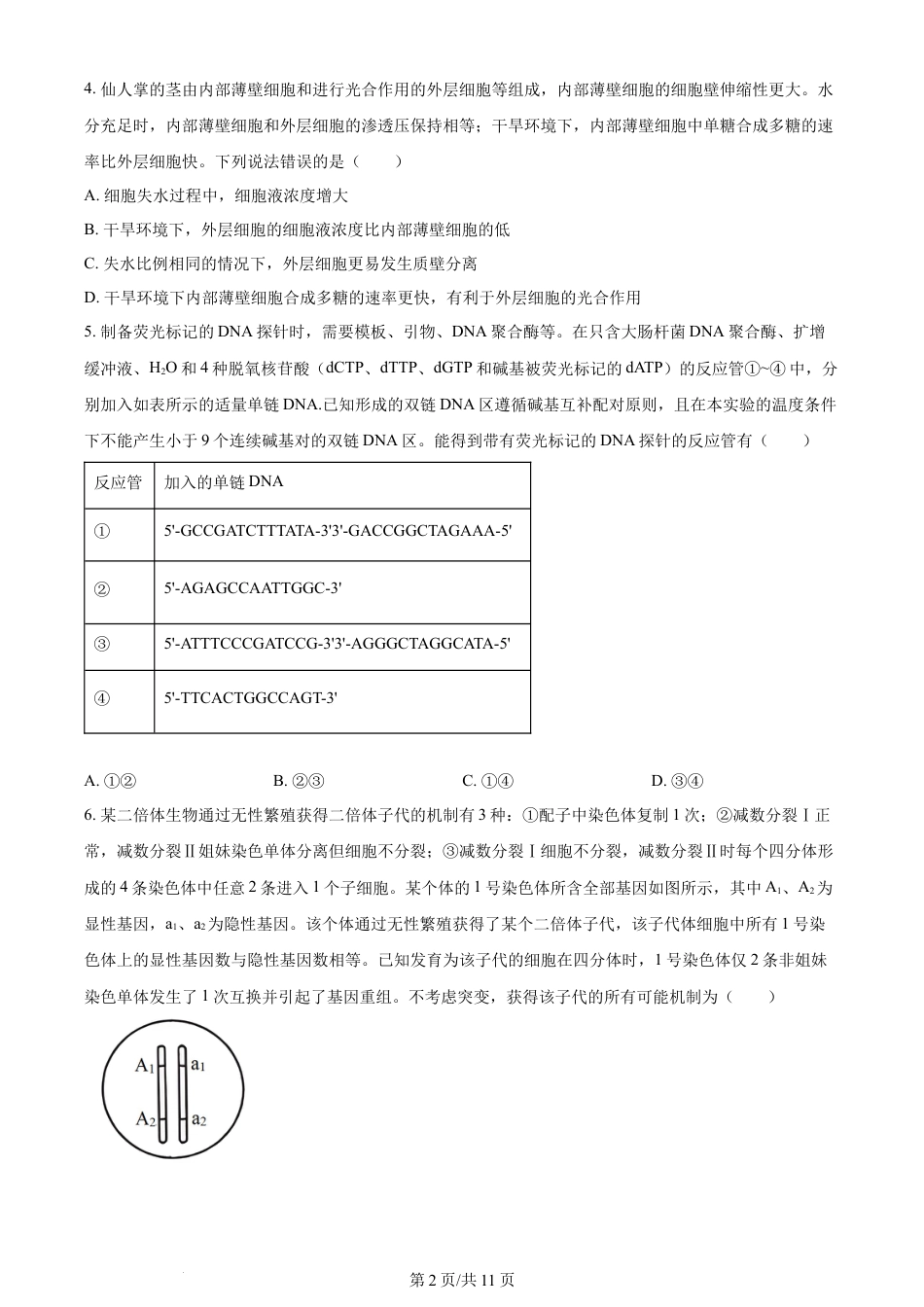 2024年高考生物试卷（山东）（空白卷）.docx_第2页