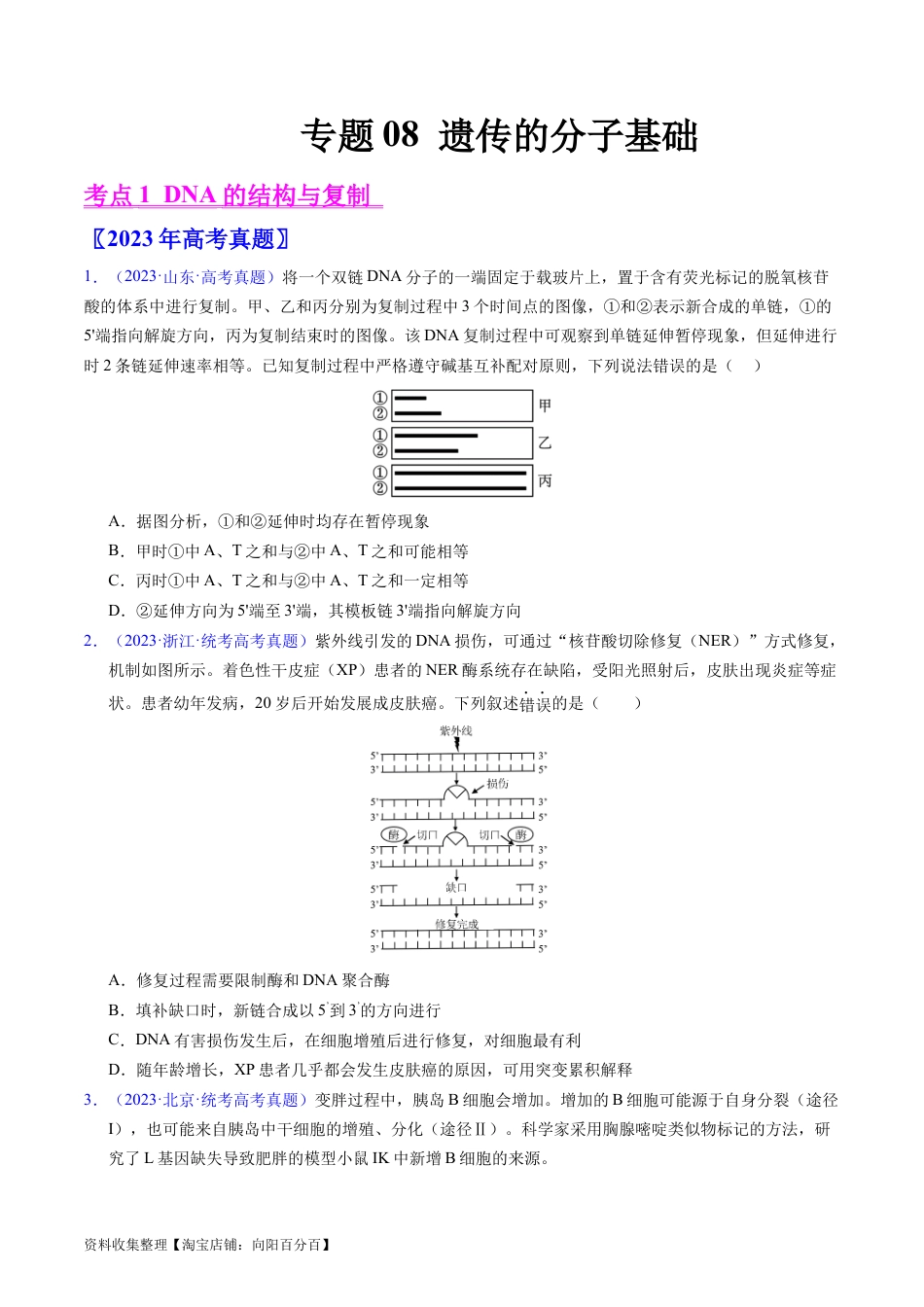 专题08 遗传的分子基础-五年（2019-2023）高考生物真题分项汇编（全国通用）（原卷版）.docx_第1页