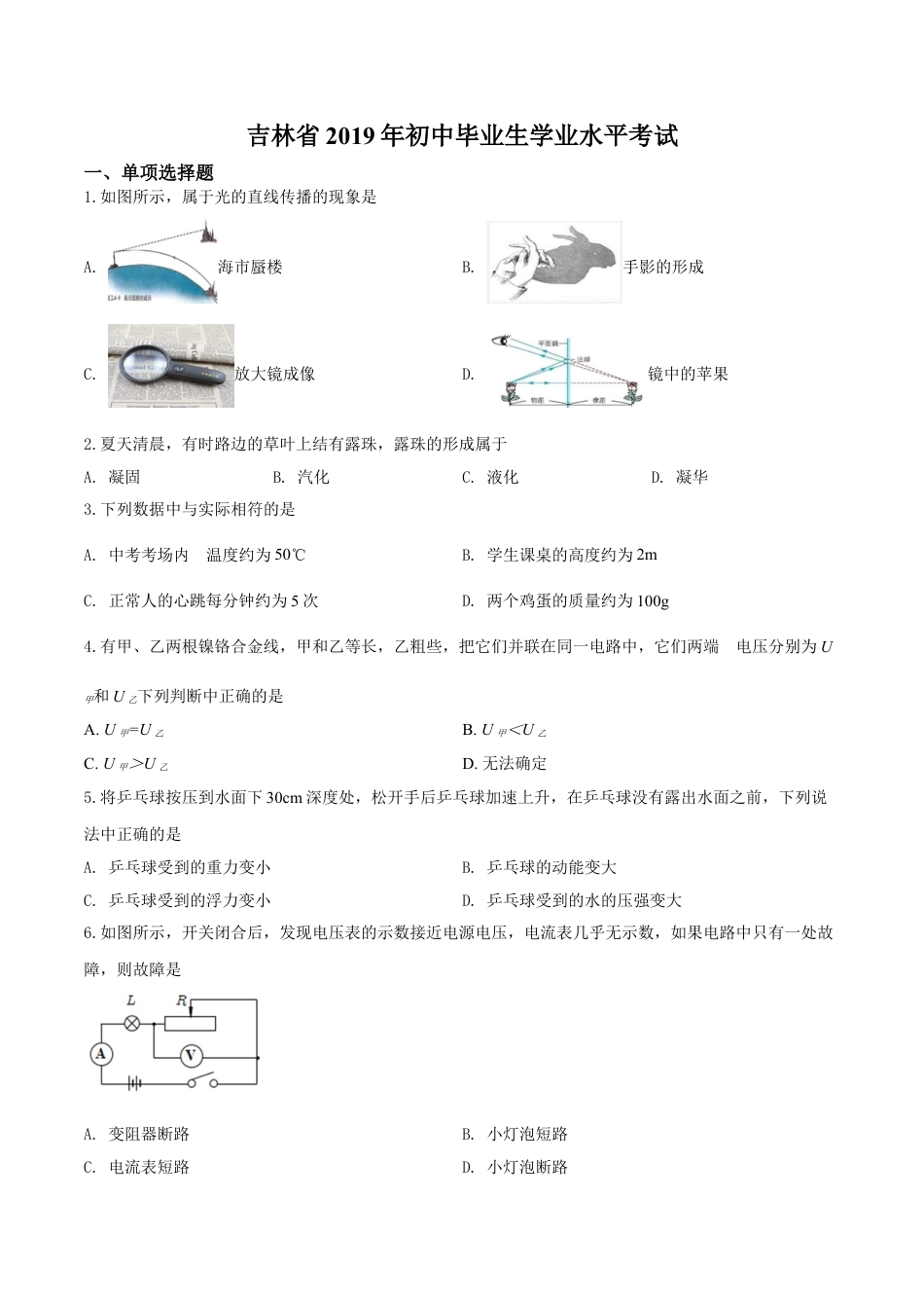 kaoda.com：2019年吉林省中考物理试题（原卷版）kaoda.com.doc_第1页