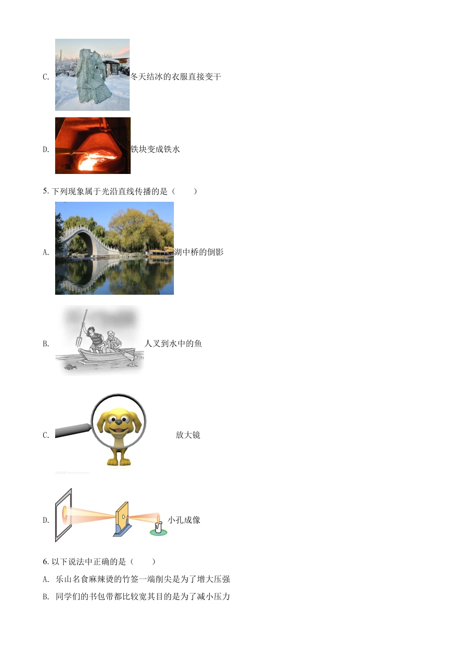 kaoda.com：2022年四川省乐山市中考物理试题（原卷版）kaoda.com.docx_第2页