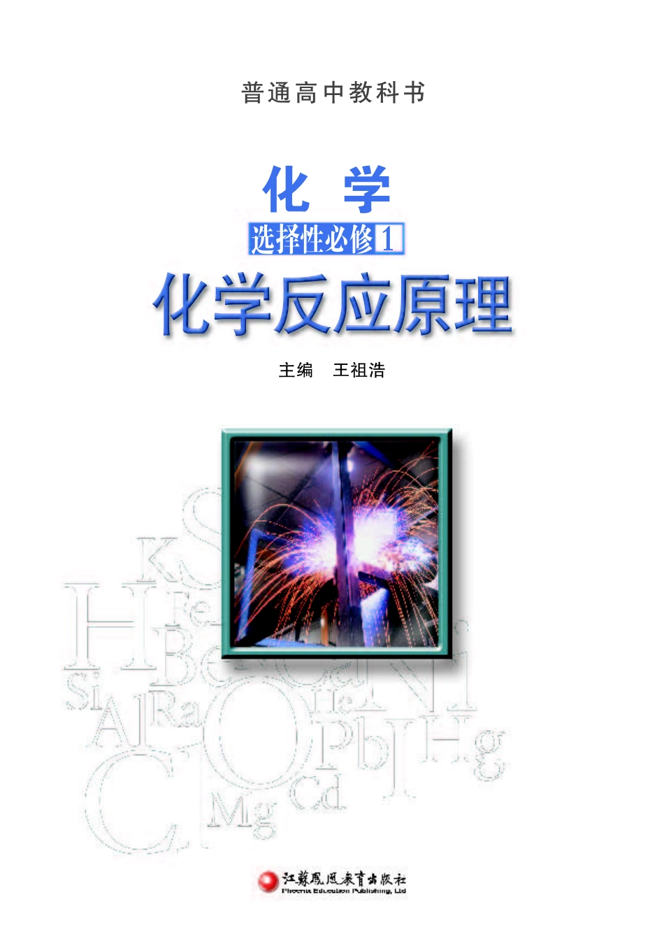 高中化学苏教版选择性必修1+化学反应原理.pdf_第2页