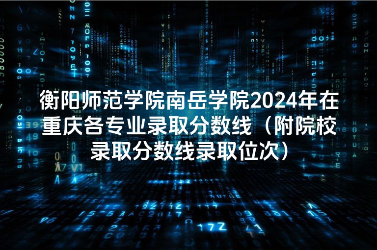 衡阳师范学院南岳学院2024年在重庆各专业录取分数线（附院校录取分数线录取位次）