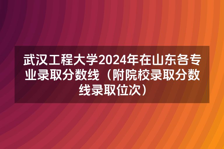 武汉工程大学2024年在山东各专业录取分数线（附院校录取分数线录取位次）