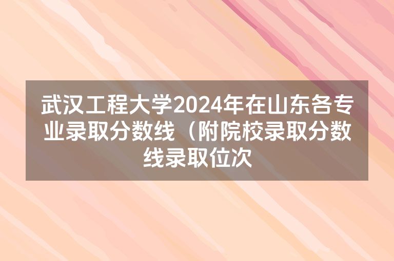 武汉工程大学2024年在山东各专业录取分数线（附院校录取分数线录取位次