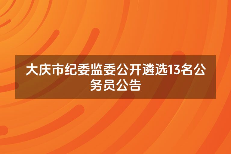 大庆市纪委监委公开遴选13名公务员公告