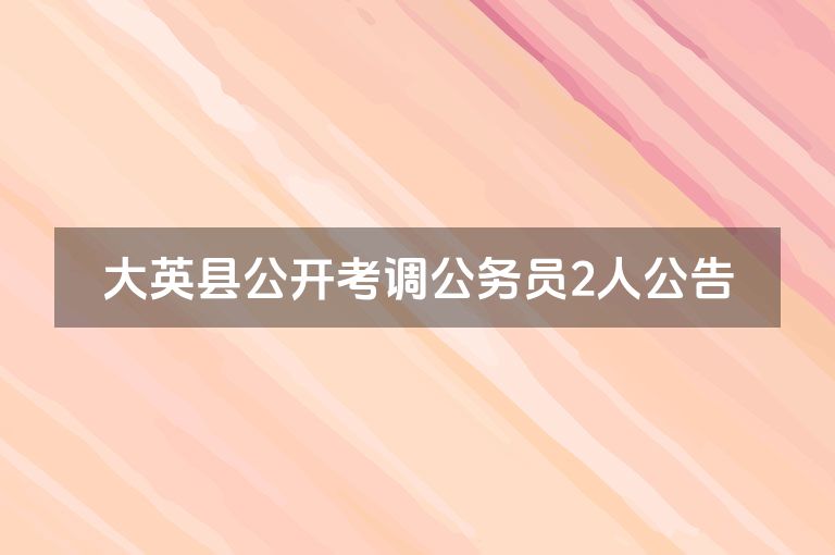 大英县公开考调公务员2人公告