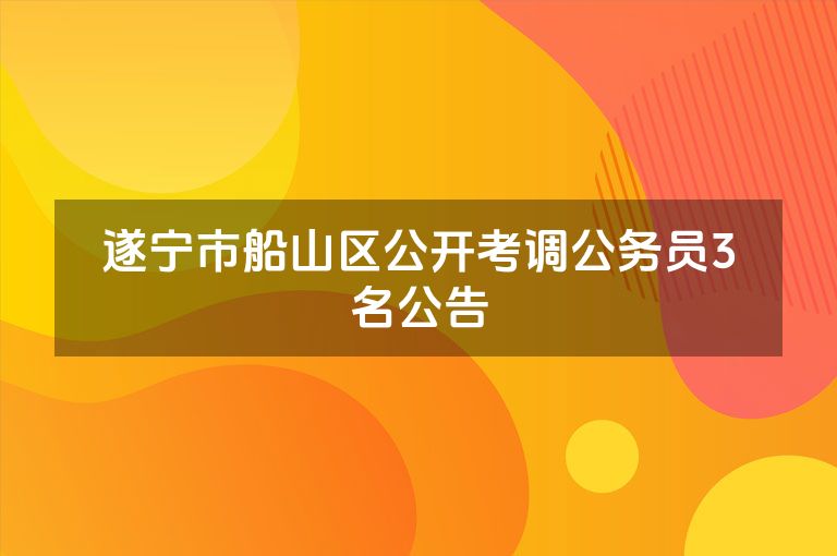 遂宁市船山区公开考调公务员3名公告